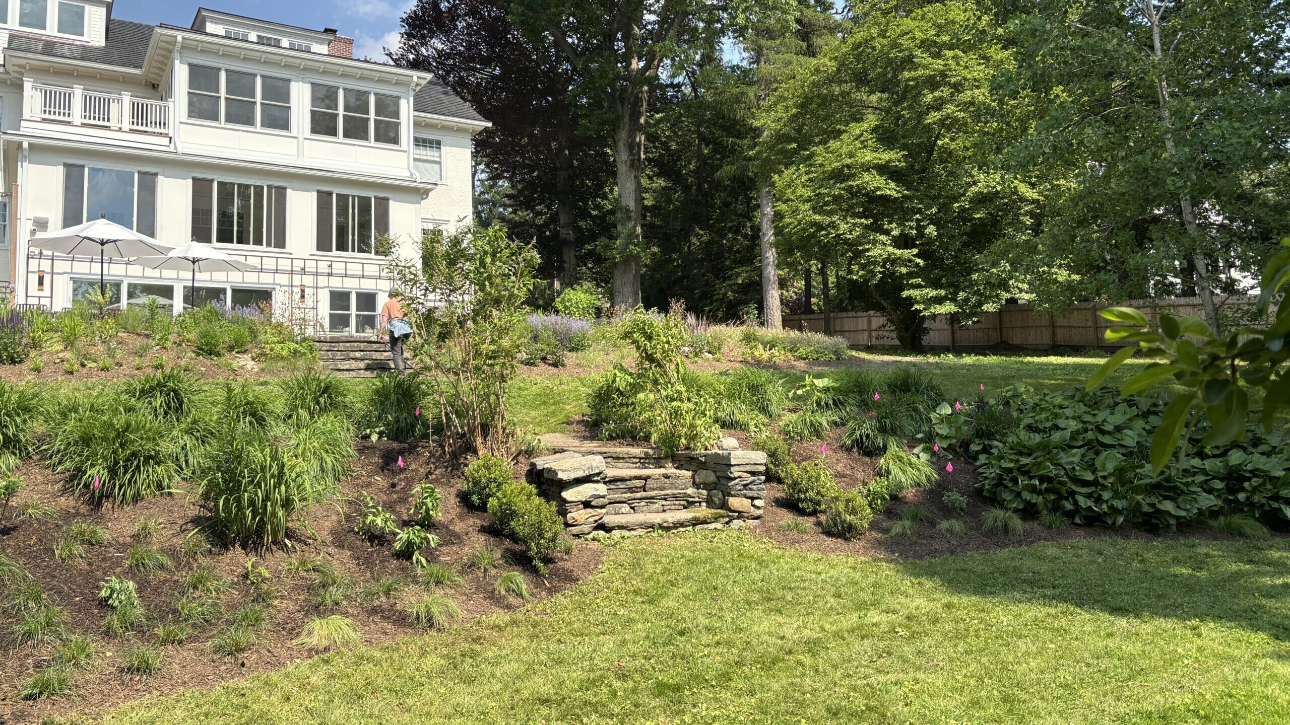 Tiered backyard landscape with stacked-stone retaining walls, native shrubs and perennials, and a maintained lawn below a large white house; a person stands near the upper terrace, illustrating a designed garden that blends formal structure with natural plantings.